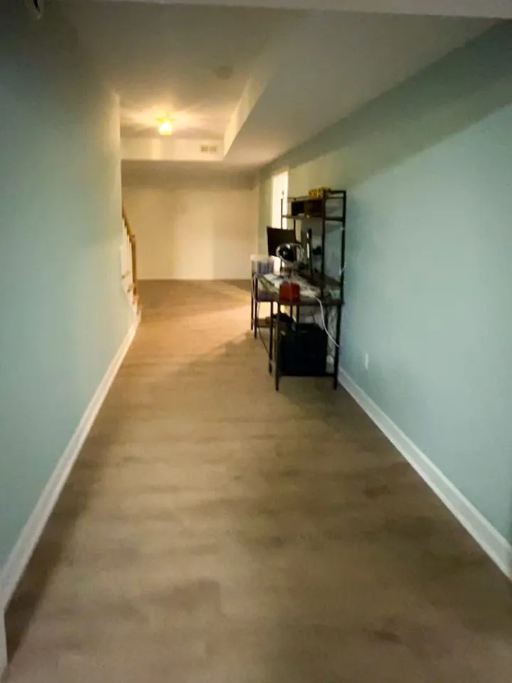 Hallway flooring and painted walls